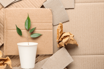Sustainable-Packaging-1280x720